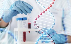 Chuyên gia 'giải mã' về kết quả xét nghiệm sinh hóa máu