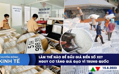 CHUYỂN ĐỘNG KINH TẾ ngày 15.8:  Làm thế nào để đấu giá biển số xe? | Nguy cơ tăng giá gạo vì Trung Quốc