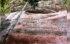 ‘Bức tranh’ dài 13km trong rừng nhiệt đới Amazon