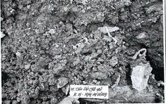 Vụ DN nghi chôn trộm nhiều tấn bùn thải ở Bình Phước: Không khởi tố, không xử phạt hành chính
