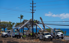 Công ty điện lực bị kiện vì thảm họa cháy rừng ở Hawaii