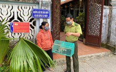 Sở NN-PTNT Thừa Thiên - Huế đề nghị phối hợp ngăn nạn bắt chim hoang dã