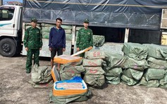 Bộ đội Biên phòng Quảng Ninh bắt giữ hơn 6 tấn nội tạng lợn bẩn