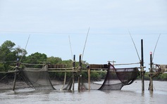 Cà Mau: Thí điểm giải tỏa nghề đáy trên sông Tắc Thủ và xã Đất Mũi
