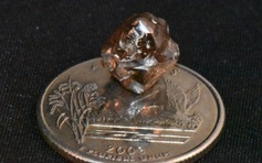 Nhặt được kim cương 7,46 carat khi đi dạo công viên