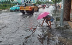 Bão Trà Mi: Từ 10 giờ ngày 27.10, người dân Đà Nẵng hạn chế rời nhà