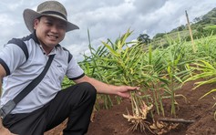 Từng bốc hàng, bán rau ngoài chợ, chàng trai có sự thay đổi không ai ngờ tới