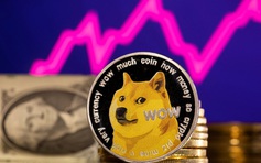 Giá Dogecoin tăng vọt sau khi ông Trump công bố bộ mới do tỉ phú Musk lãnh đạo