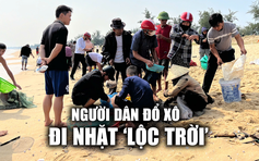 Người dân đổ xô đi nhặt ‘ lộc trời’ sau bão số 6