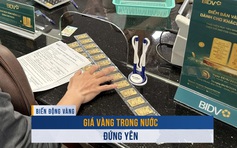 Biến động vàng ngày 25.11: Giá vàng trong nước đứng yên