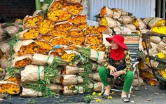 Chợ hoa lớn nhất TP.HCM trước ngày cúng ông Táo: Người bán sợ 'cười không nổi'