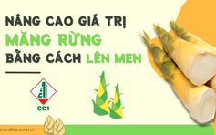 Cùng sống xanh số 69: Người phụ nữ lên men măng rừng, lan tỏa sản phẩm của người Xê Đăng