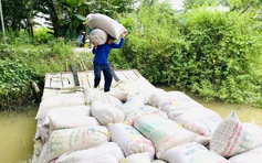 Giá gạo tăng mạnh, Indonesia quyết định nhập khẩu đến 3,6 triệu tấn