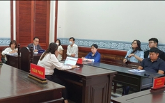 Tòa phúc thẩm y án 'buộc xin lỗi ông David Dương và Công ty VWS'