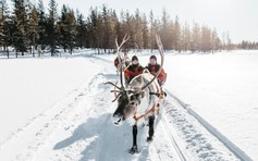 Thử lái xe tuần lộc tại Lapland, Phần Lan: Quê hương của ông già Noel