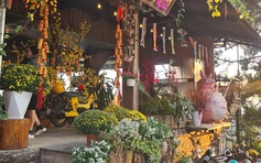 Điểm danh các quán cà phê đẹp ở Đà Lạt mùa tết