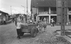 Sưu tầm và triển lãm ảnh nghệ thuật 'Phú Quốc - xưa và nay'