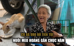 Sài Gòn thân thương: Cụ bà bán đồ chơi lấy tiền nuôi mèo hoang suốt 10 năm