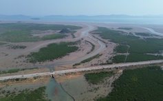 Vì sao tuyến đê trăm tỉ quây rừng ngập mặn ở Quảng Ninh bị bỏ không?