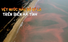 Xuất hiện các vệt nước màu đỏ kỳ lạ trên biển Hà Tĩnh