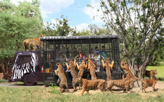 Những vườn thú đáng trải nghiệm tại Thái Lan