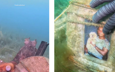 Thợ lặn rợn người khi bị bạch tuộc dẫn đến bia mộ dưới đáy biển