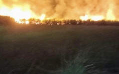 Hơn 18 ha mía của nông dân Phú Yên cháy rụi trong đêm