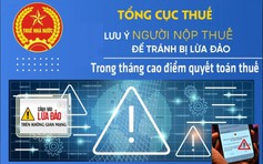 Nhan nhản lừa đảo mạo danh cán bộ thuế tại Hà Nội