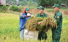 Lính vùng biên và dân bản cùng gặt lúa trong ngày mùa bỏng rát