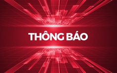 Cảnh báo việc mạo danh Peugeot Việt Nam để lừa đảo tuyển dụng