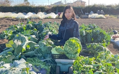 Lấy chồng tại Nhật Bản, cô gái trồng vườn rau xanh mướt như ở Việt Nam