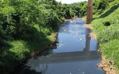 Bình Phước: Dòng suối chảy qua nhiều xã tại H.Phú Riềng bị 'bức tử'