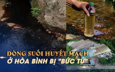 Cầu cứu vì ô nhiễm bủa vây dòng suối huyết mạch ở Hòa Bình