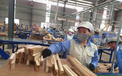 Mỹ, Trung Quốc 'chi đậm' tăng mua gỗ Việt