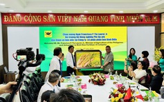 Sau gạo, Philippines muốn nhập khẩu phân bón từ Việt Nam
