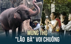 Mừng thọ 'lão bà' voi Chuông ở Thảo Cầm Viên Sài Gòn