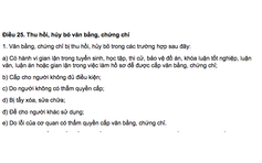 Vụ bằng cấp của thượng tọa Thích Chân Quang: Bằng không đủ điều kiện xử lý ra sao?