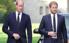 Hoàng tử Harry và William tránh nhau tại đám tang người thân