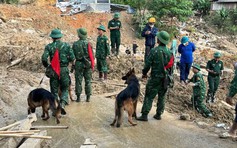 Đưa chó nghiệp vụ đến Nậm Tông tìm nạn nhân mất tích