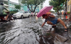 Thành ủy Đà Nẵng lập 7 đoàn kiểm tra công tác phòng chống bão số 4