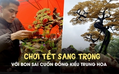 Chơi tết sang trọng với bon sai cuốn đồng kiểu Trung Hoa: Có cây giá vài chục triệu