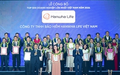 Hanwha Life thăng hạng trong Top 500 Doanh nghiệp lớn nhất Việt Nam năm 2024