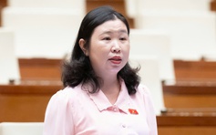 'Vụ Vạn Thịnh Phát mà thời hạn giám định chỉ 3 tháng là bất khả thi'