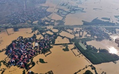 43 sự cố đê do lũ lịch sử, Bộ NN-MT yêu cầu hỏa tốc ứng phó