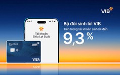Bộ đôi Sinh Lời VIB, giải pháp tài chính tối ưu dòng tiền đến 9,3%