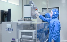 Nghịch lý: dược Việt tăng trưởng cao nhưng đối mặt bẫy giá trị thấp