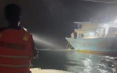 Bộ đội biên phòng Lâm Đồng bắt giữ 6 tàu cá giã cào trái phép trên biển