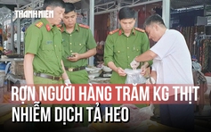 Rợn người hàng trăm kg thịt nhiễm dịch tả heo châu Phi tại Cần Thơ