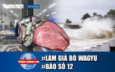 Toàn cảnh 17h 15.10: Lật tẩy thủ đoạn làm giả bò Wagyu | Lại sắp có bão số 12?