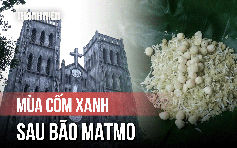 Cốm Hà Nội bị ảnh hưởng sau bão: Người bán, người mua đều tiếc nuối